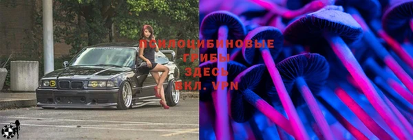 метадон Богданович