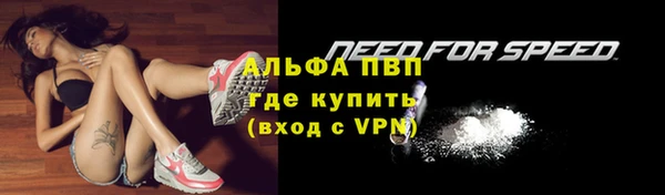 метадон Богданович