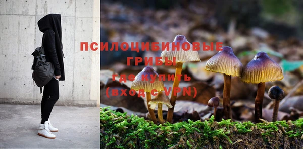 метадон Богданович