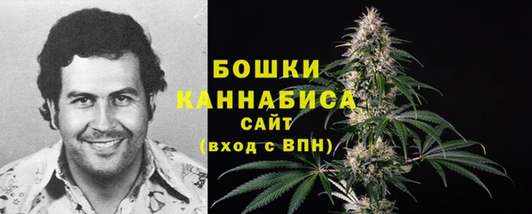 метадон Богданович